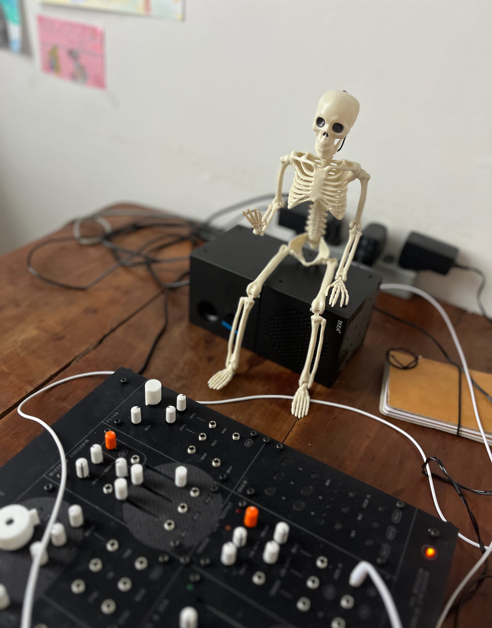 First sounds out in the wild